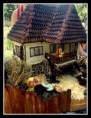 /album/foto%c4%9fraflar%3a-katalog/a1w1-jpg/